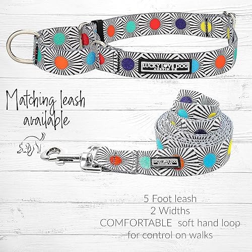 Lucky Love Dog Martingale Collar & Leash Set No Slip Cute – SOCO, Medium