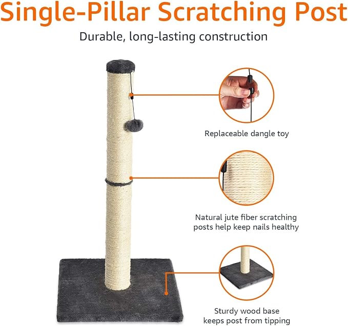 Amazon Basics Cat Scratching Post for Indoor Cats & Kittens, Medium (31.5"H), Cat Furniture with Dangling Ball Toy, Grey