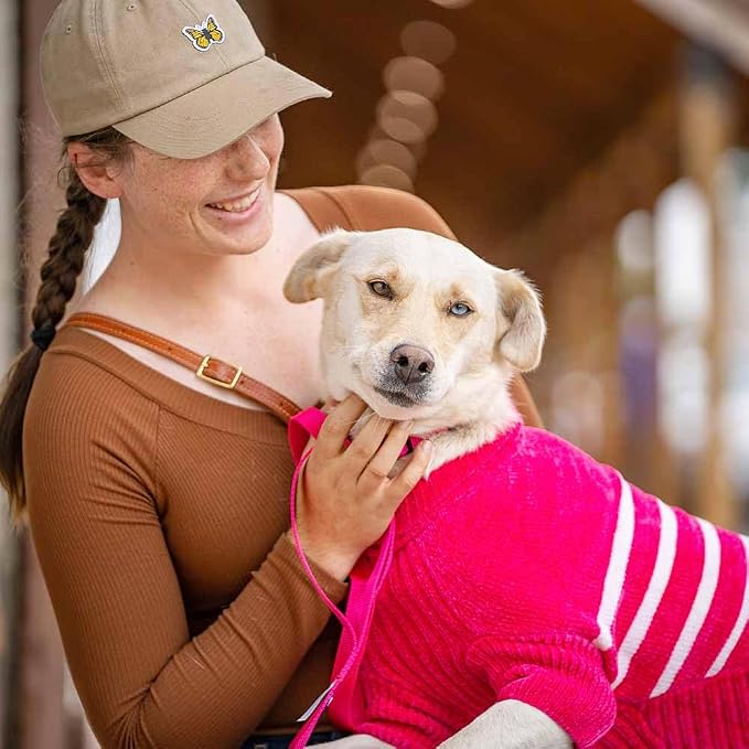 Blueberry Pet Cozy Soft Chenille Classy Striped Dog Sweater in Hot Pink, Back Length 12", Pack of 1 Clothes for Dogs