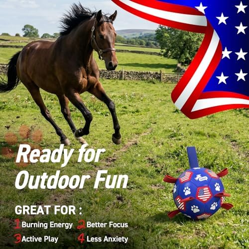QDAN Dog Balls with Straps, Large Herding Balls for >90lbs Dogs, Soccer Toy | 9 Inch Soccer Ball for Dogs with Tabs for Outside Play, High Energy Dogs to Keep Them Busy, Interactive Tug Toy for Training