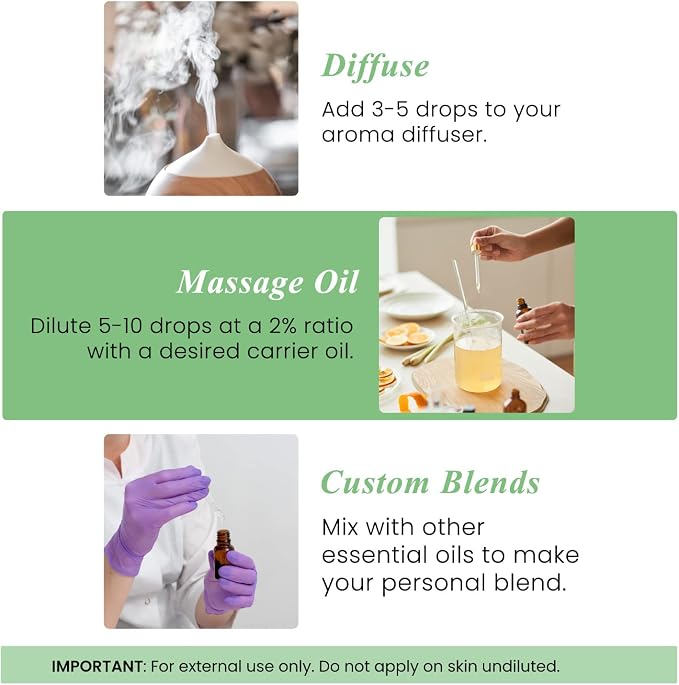 Handcraft Blends Basil Essential Oil – Huge 4 Fl Oz – 100% Pure and Natural – Premium Grade Essential Oil for Diffuser and Aromatherapy, Skin, Massage, Candle and Soap Making Fragrance