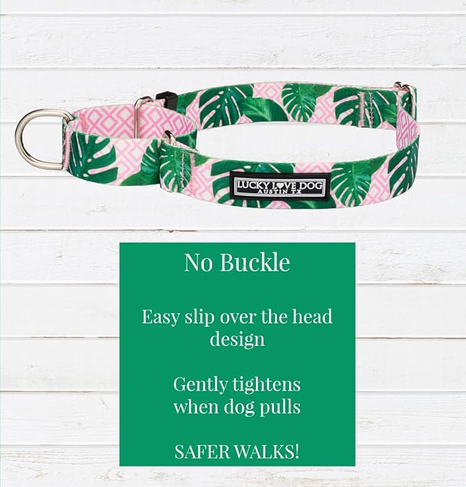 Lucky Love Dog Martingale Collar for Medium Dogs No Slip – Laguna, Medium