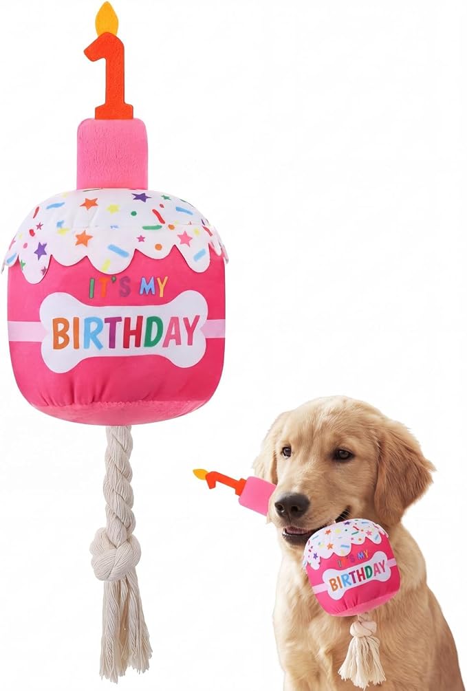Dansydaisy Dog Birthday Cake Toy Squeaky Plush Gift,1st,Rose Pink