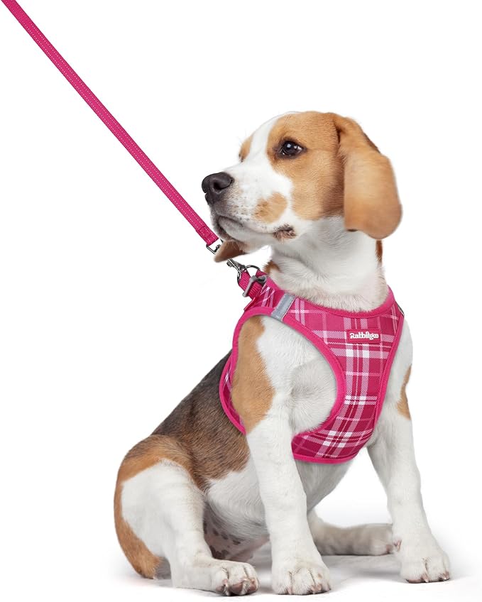 rabbitgoo Dog Harness Medium Sized and Leash Set, Step-in Puppy Pet Vest | Light, Soft, Breathable Air Mesh, Easy on and Remove with Hook & Loop, Secure Reflective for Walking, Rose Red Plaid L