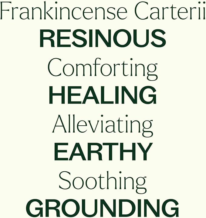 Plant Therapy Frankincense Carterii Essential Oil Pre-Diluted Roll-On 10 mL (1/3 oz), Natural Aromatherapy, Soothing Essential Oil for Meditation, Skin Irritation, and Sore Muscle Relief