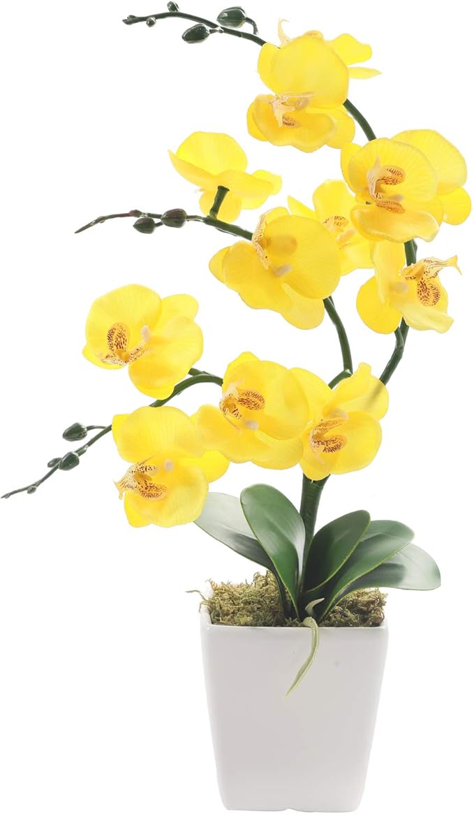 15" Silk Phalaenopsis Orchid in Square Pot, Yellow Flower Plant Arrangement | Lifelike Faux Potted Blooms with Moss in a Ceramic Planter. Looks Real, Zero Upkeep, Ideal Centerpiece for Any Table