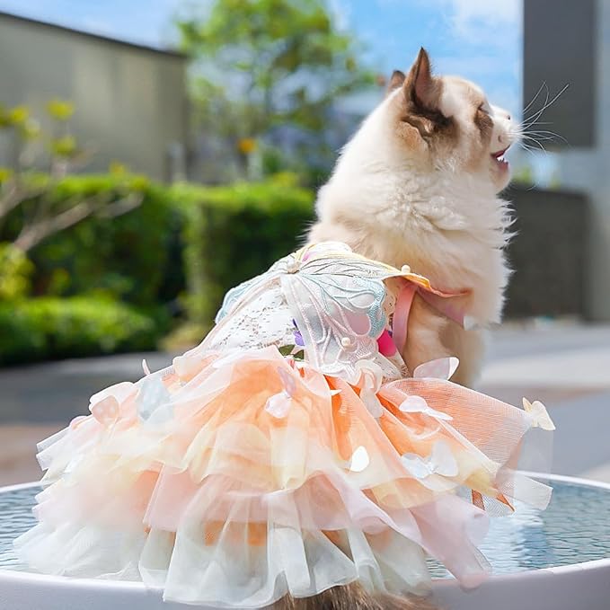 Dog Rainbow Butterfly Princess Dress Summer Thin, XS | Cute Pet Cat Clothes For Yorkie Chihuahua Poodle Pomeranian French Bulldog Dachshund Teddy Dress Pet Supplies