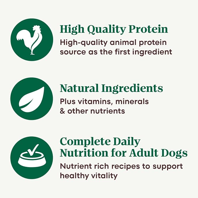 Nutro Hearty Stew Wet Dog Food, Tender Chicken, 12.5 oz, 12 Pack | Grain-free, non-GMO, real chicken #1 ingredient, with carrot & pea, natural ingredients, no corn, wheat, soy, made in USA