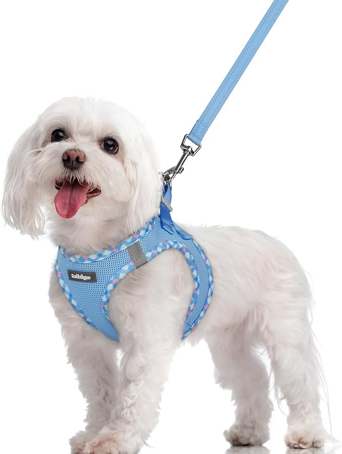 rabbitgoo Dog Harness Small Sized and Leash Set, Step-in Puppy Pet Vest | Light, Soft, Breathable Air Mesh, Easy on and Remove with Hook & Loop, Secure Reflective for Walking, Blue & Plaid Trim M