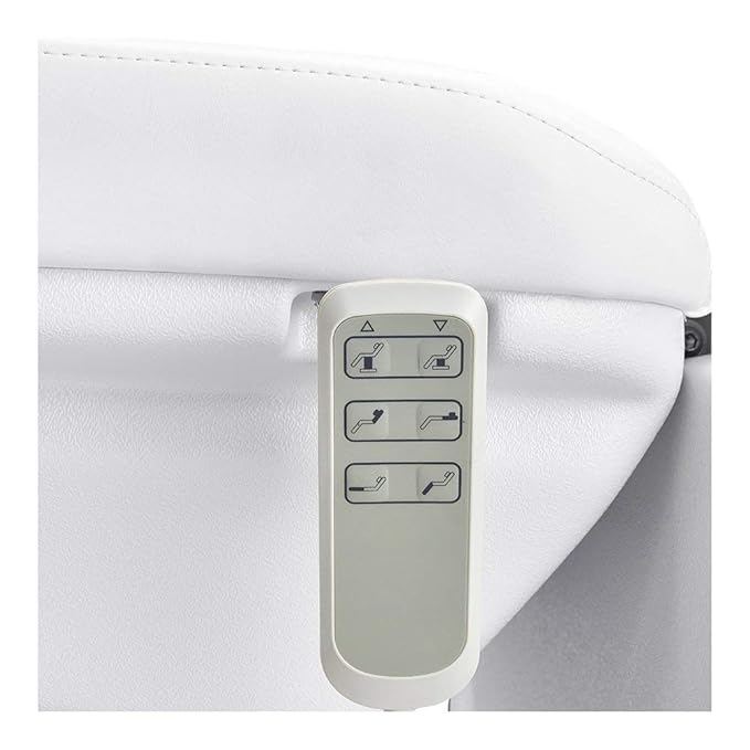 Dir Facial Beauty Bed Medical Aesthetic Tattoo Procedure Bed 3 Motor Electrical Medical Examination Chair Bellucci 2 Pack