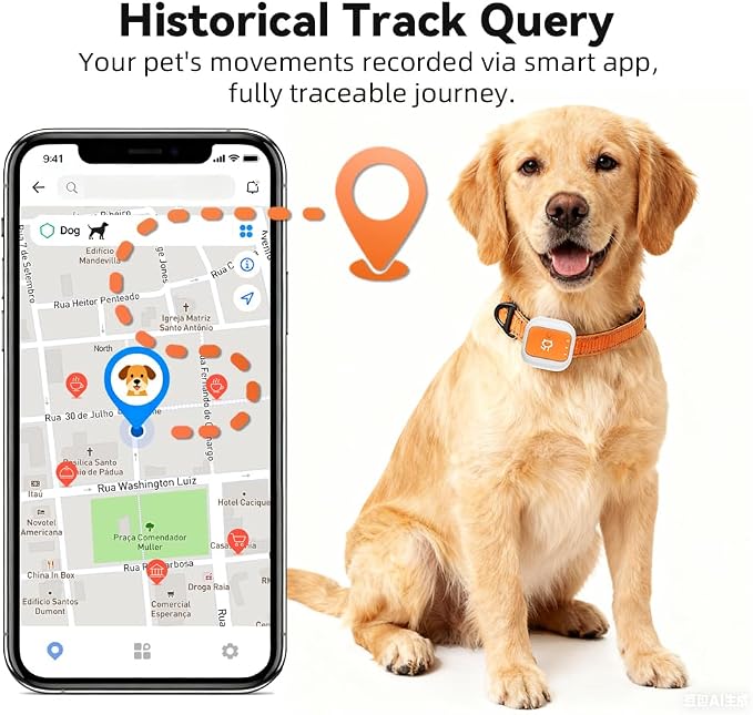 Smart GPS Tracker for Cat Dog GPS Collar Tracker for Pet Anti-Lost Device for Pets (Small for Car)