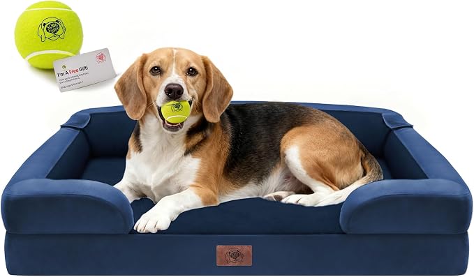 Waterproof Orthopedic Dog Bed for Medium Large Sized Dogs | Memory Foam Pet Bed Sofa with Bolster, Dog Couch with Washable Cover & Non-Slip Bottom, 36x27 Inch, Royal Blue