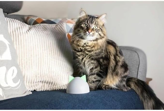 Sure Petcare Hub