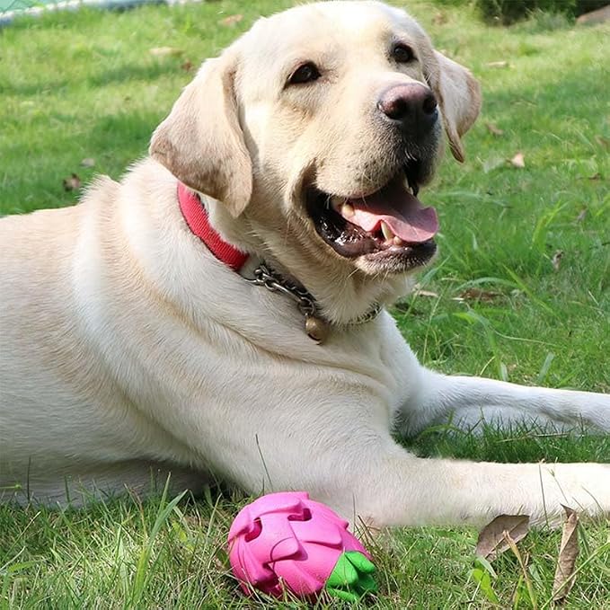 AUSCAT Dog Treat Dispensing Toys, Dispensing Puzzle Dog Toy, Rubber Dog Treat Dispenser, Interactive Stimulation Dog Food Toys, Pitaya Shape