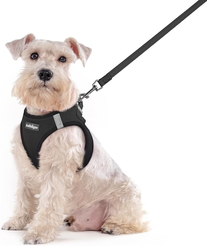 rabbitgoo Dog Harness Medium Sized and Leash Set, Step-in Puppy Pet Vest | Light, Soft, Breathable Air Mesh, Easy on and Remove with Hook & Loop, Secure Reflective for Walking, Black XXL