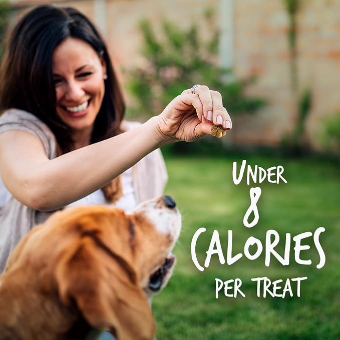 Fruitables Baked Dog Treats, Healthy Pumpkin Snacks for Dogs, Low Calorie & Delicious, No Wheat, Corn or Soy, Puppy Training Treats, Made in the USA, Pumpkin and Cranberry Flavor, 7oz (Pack of 2)