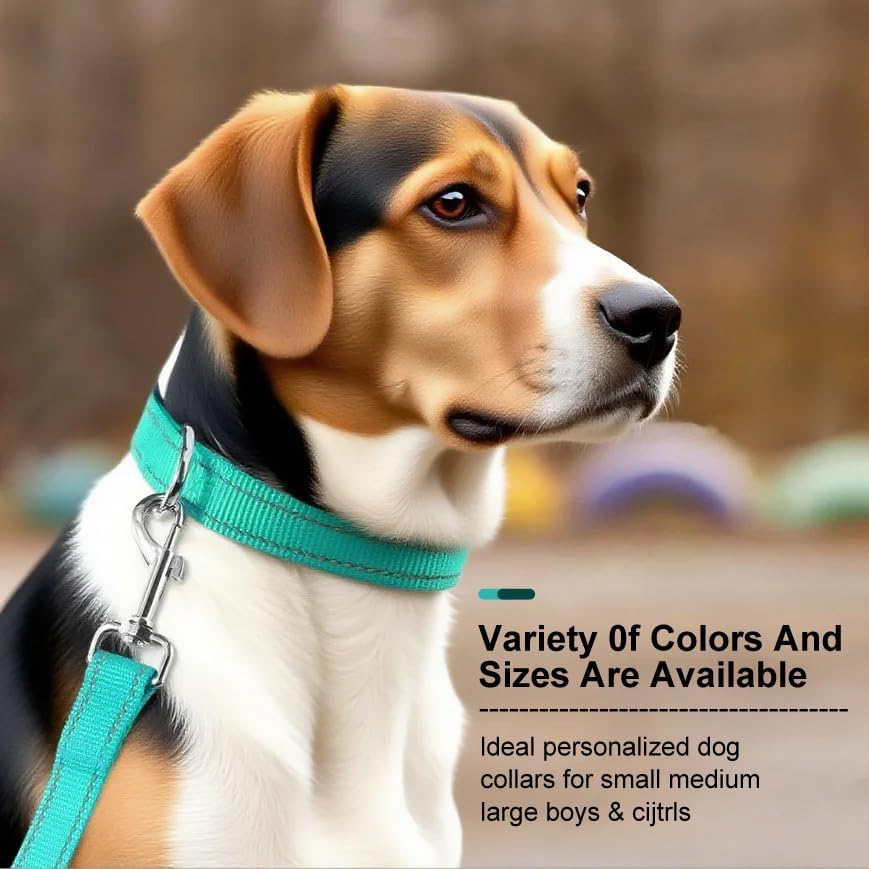 Reflective Dog Collar for a Small, Medium, Large Dog or Puppy with a Quick Release Buckle - Boy and Girl - Nylon Suitable for Swimming (Cyan, L)