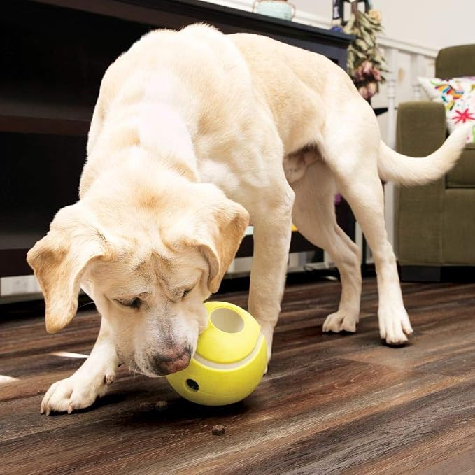 Kong Company 38703435: Rewards Tennis Treat Dispenser Dog Toy, Lg