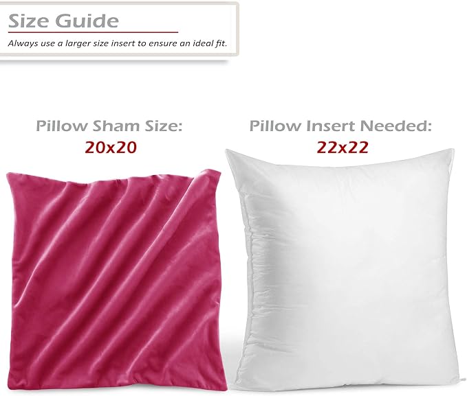 Throw Pillow Inserts Pack of 2 with Velvet Soft Solid Decorative Square Throw Pillow Covers Set for Sofa Couch Car Bedroom, 22X22 Throw Pillows Inserts with 20x20 Washable Cushion Covers, Hot Pink
