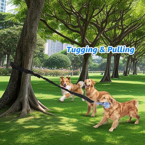 LOOBANI Outdoor Bungee Tug Toy, Interactive Dog Door/Tree Hanging Toys