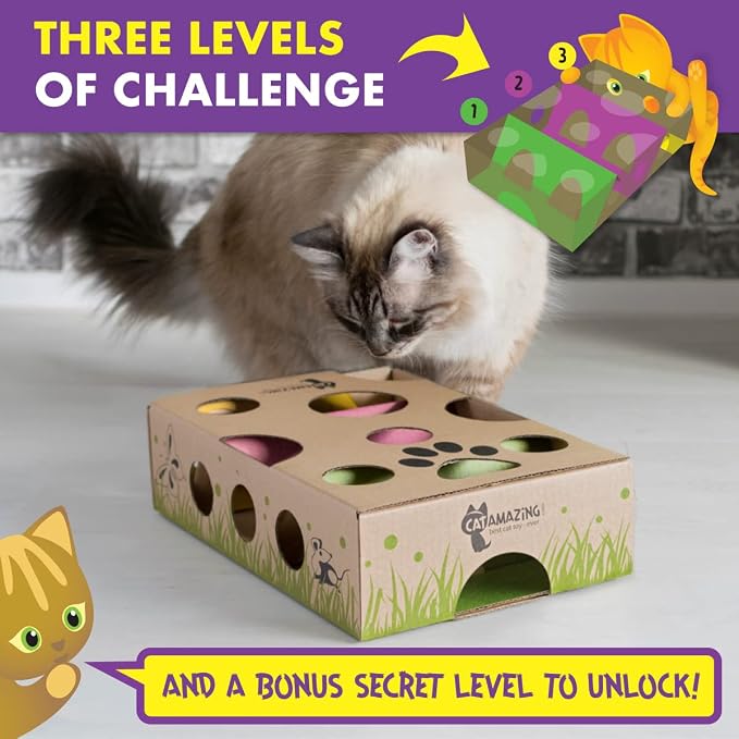 Cat Amazing Interactive Treat Maze and Puzzle CAT Toy