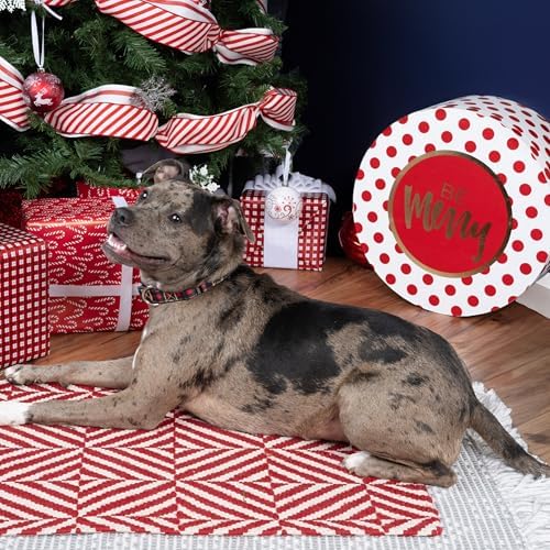 Country Brook Petz - HossFit Jr Wide Martingale Dog Collar - Plaid and Argyle Collection Featuring Charming Designs (Buffalo Plaid, Large)