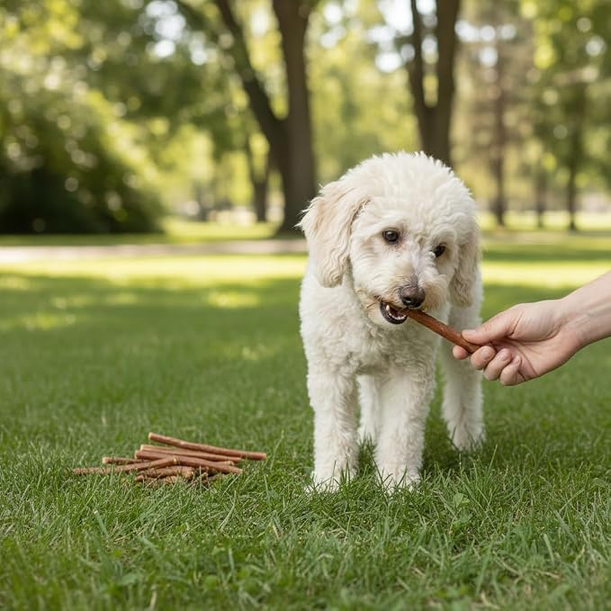 Wild Eats Water Buffalo Collagen Sticks for Dogs (25 Pack, 0.6 cm Wide) Long Lasting Dog Chews, No Hide Dog Treat Bully Stick Alternative, Rawhide Free, Grain Free, High Protein | Rawhide and grain free no hide chew treats, bully style alternative, 0.6...