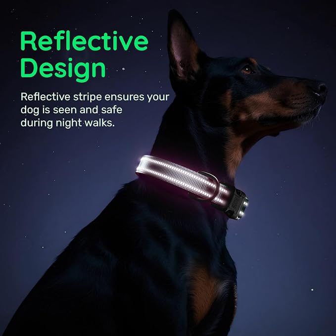 Dog Collar for Large Dogs with Smart QR Tags