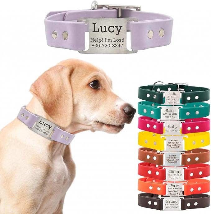 dogIDs Personalized Dog Collar – ScruffTag Custom Waterproof Biothane Dog Collar with Laser-Engraved Name, Durable & Odor-Resistant – USA Made | Lavender, 1 in x 20 in (Fits Neck Sizes 18-22 in)