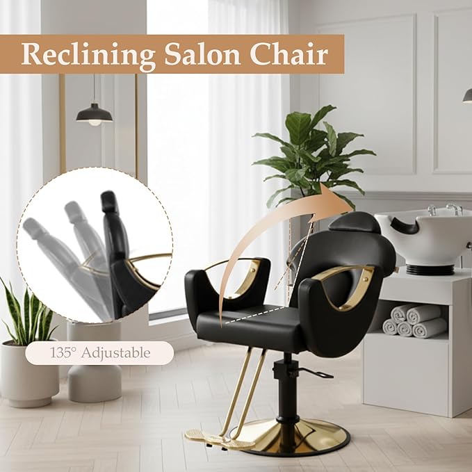 Black Salon Chair for Hair Stylist, Professional Barber Chairs Barbershop Hair Stylist Chair with Heavy Duty Hydraulic Pump, 360° Braiding Styling Hairdresser Chairs for Spa Home Euipment, Cold Black
