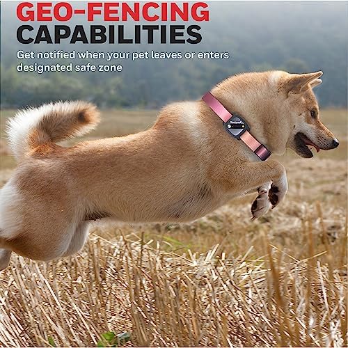 Honeywell Pet Activity Tracker with GPS for Dogs, Gradient- Use Your Collar or Included One-Size-Fits-All Collar- Geo-Fencing, Find-My-Pet Alarm, and Review History- Perfect Dog Fitness Tracker