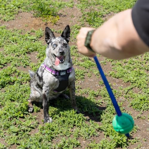 PetKORE: FloTex Tug - Large - 3.25" Green, Rubber Dog Toy, Removable Strap Tail, Patented Airflow Grooves, Bounce-Fetch-Chew, Pet Indoor-Outdoor Play