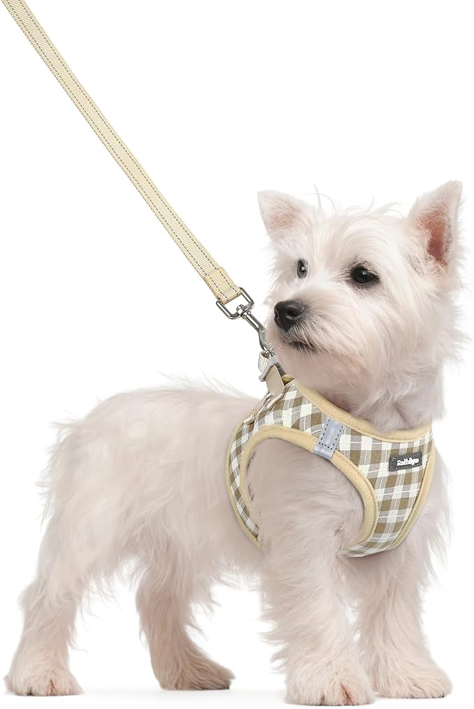 rabbitgoo Dog Harness Small Sized and Leash Set, Step-in Puppy Pet Vest | Light, Soft, Breathable Air Mesh, Easy on and Remove with Hook & Loop, Secure Reflective for Walking, Beige Check S