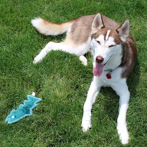 SPOT Dura-Fused Colors Fish - Colorful Leather Dog Toys with Squeaker, Made with Real Leather and Jute Fabric, Durable Stuffed Toy for Dogs and Puppies, 7in, Color and Style May Vary