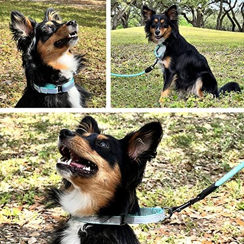 Pawtitas Customized Martingale Dog Collar Reflective Reflective Dog Collar Embroidered Personalized Name Phone Number Adjustable for Puppies Small Medium Large Size Dogs Medium Camouflage Green