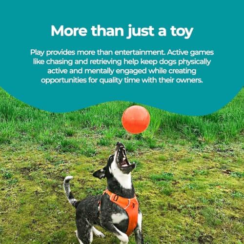 Jolly Pets Dog 6-Inch Bounce-n-Play, Orange, 6 Inches/Medium