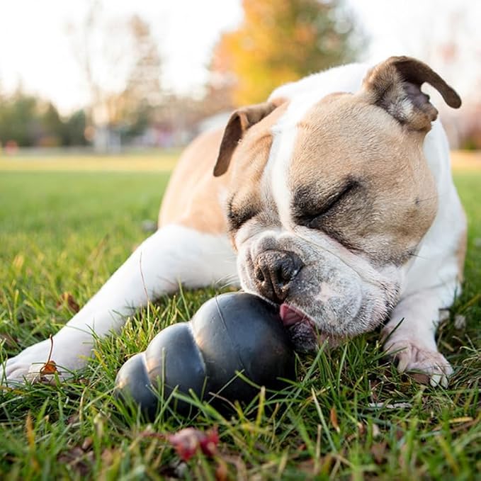 KONG Extreme Dog Toy, Natural Rubber Chew, for X-Large Dogs (Pack of 2)