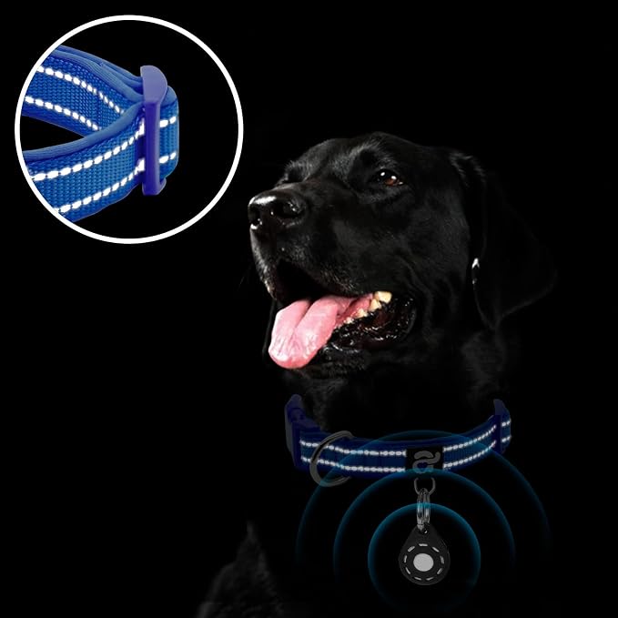 azuza Airtag Dog Collar, Large Dog Collar with Airtag Holder, Royal Blue, L