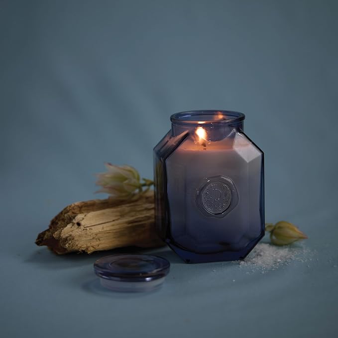 Paddywax Botanica Scented Candle with Lid in Reusable Embossed Glass Jar, Clean-Burn Soy Candle with Approx. 56 Hour Burn Time, Sea Salt & Amber, 8 oz