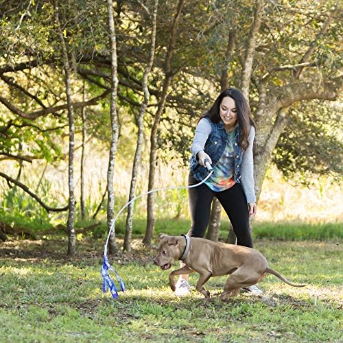 Squishy Face Studio Flirt Pole V2 with Lure - Durable Dog Toy for Fun Obedience Training & Exercise Jr. - 24 inch