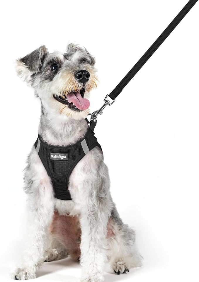 rabbitgoo Dog Harness Medium Sized and Leash Set, Step-in Puppy Pet Vest | Light, Soft, Breathable Air Mesh, Easy on and Remove with Hook & Loop, Secure Reflective for Walking, Black XL