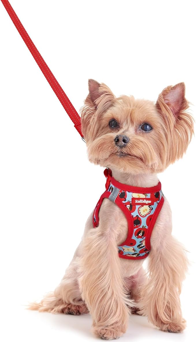 rabbitgoo Dog Harness Small Sized and Leash Set, Step-in Puppy Pet Vest | Light, Soft, Breathable Air Mesh, Easy on and Remove with Hook & Loop, Secure Reflective for Walking, Apple Pups XXS