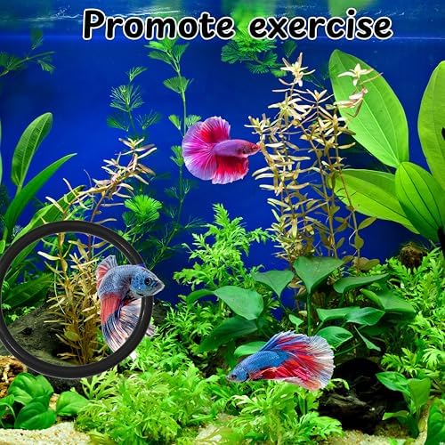 Betta Ring and Mirror Toy for Aquarium, 2 pcs Betta Ring Enrichment Toys, Floating Exercise Mirrors for Fish Tank and Training Feeding Rings, Fish Toys, Aquarium Accessories (Black, M-Heart)