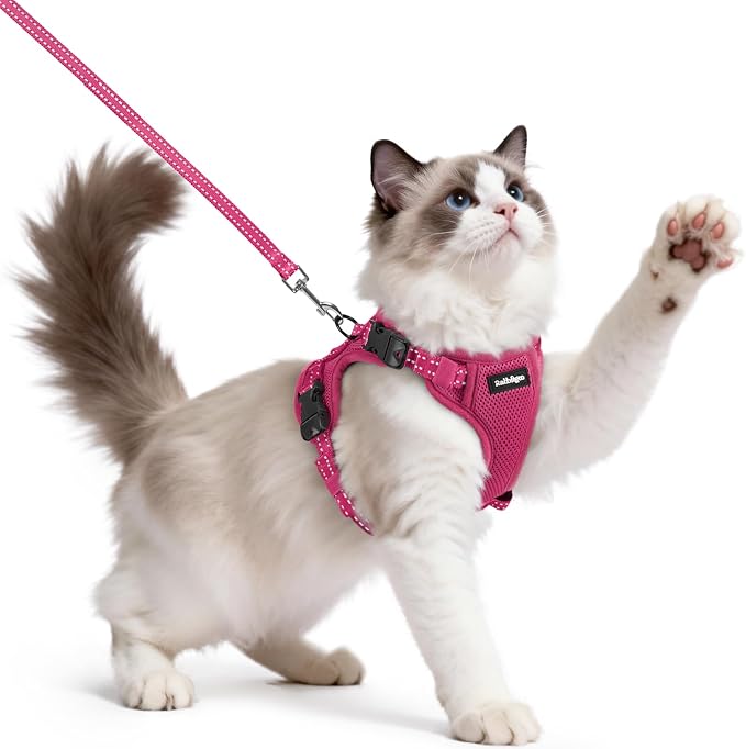 rabbitgoo Cat Harness and Leash Set, Easy-on with Neck Buckle, Rose Red