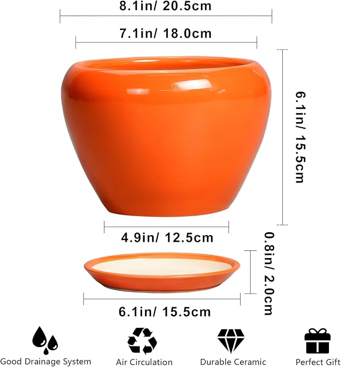 Ceramicfor Indoor Plant Pot 8 Inch - Ceramic Plant Pot with Drainage Hole and Saucer, Glaze Decorative Modern Round Planter for Outdoor Plants, Housewarming Gifts, Office Home Garden Decor, Orange