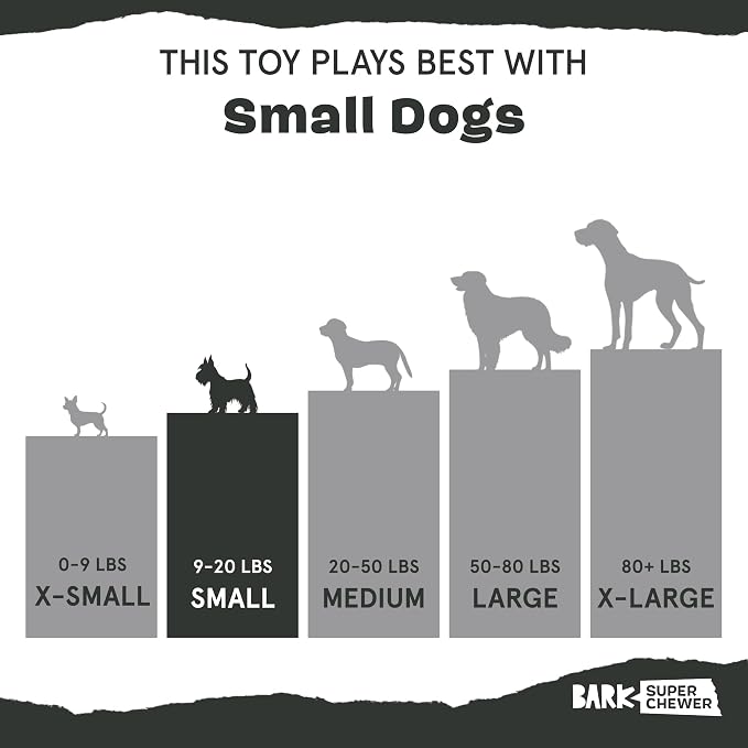 BarkBox Munchie The Bear Dog Toy - for Dogs up to 20 lbs - Small