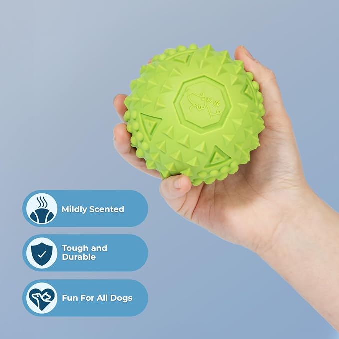 Best Pet Supplies Squeaky Dog Toys with Soft Durable Fabric for Small, Medium and Large Pets Interactive Toy for Indoor Play, Supports Active Biting and Play - Green, Large