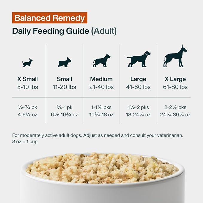 JustFoodForDogs Pantry Fresh Wet Dog Food, Complete Meal or Dog Food Topper, for Sensitive Stomachs, Balanced Remedy Human Grade Dog Food Recipe - 12.5 oz (Pack of 12) | Fresh Pet Meal or Dog Food Toppers for Sensitive Stomach, Human Grade, Preservativ...