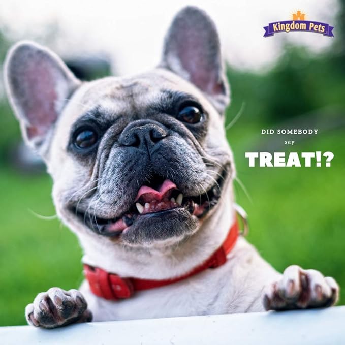 Duck Jerky & Sweet Potato Dog Treats with Only 4 Ingredients and No Fillers, 3 Pound Bag