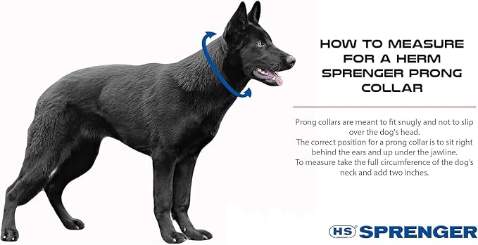 Herm Sprenger Chrome Plated Steel Training Prong Collar with Quick Release Snap for Dogs, 23in (58cm) x 3.2mm, (Neck Size UP to 19 inches)
